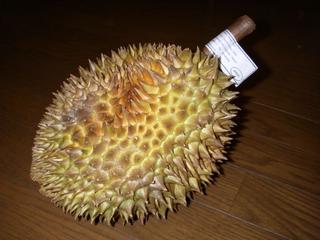 durian_1.jpg